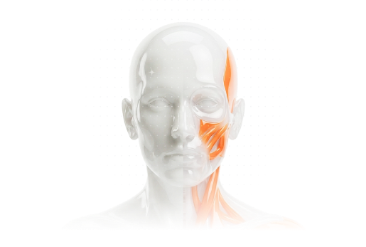 다이어트·미용