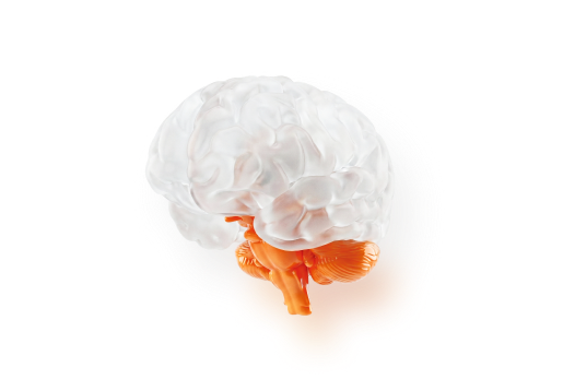 정신·수면·집중력