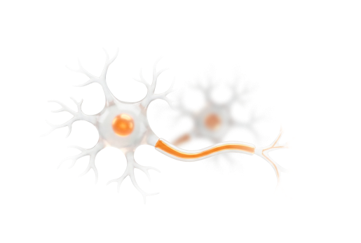 신경·안면 질환