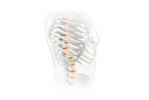 척추·관절 질환