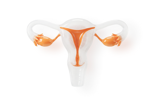 여성·회복 질환