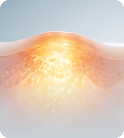 다이어트·미용