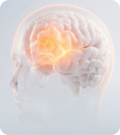 정신·수면·집중력