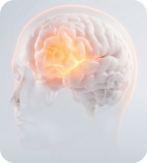 정신·수면·집중력