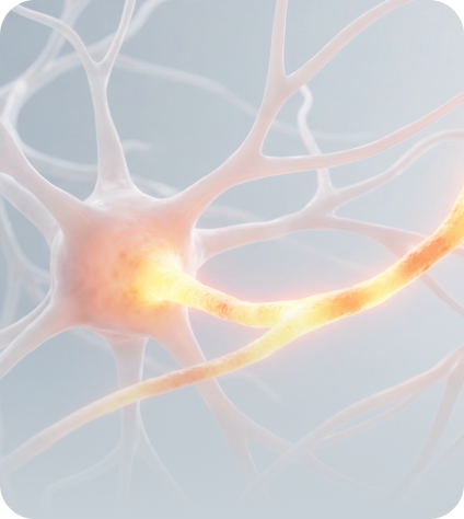 신경·안면 질환