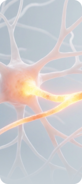 신경·안면 질환