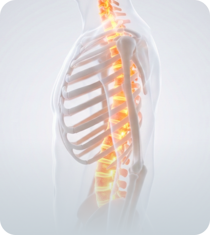 척추·관절 질환