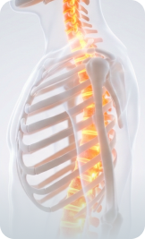 척추·관절 질환