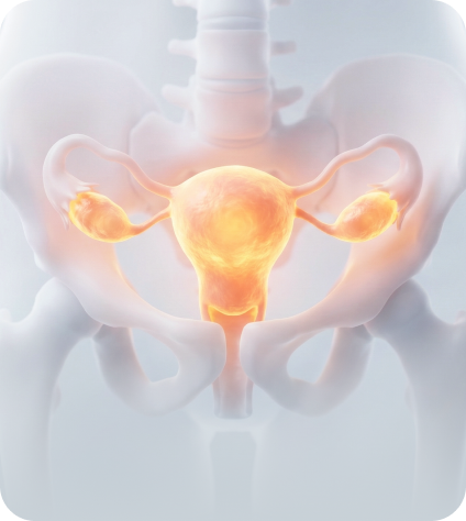 여성·회복 질환