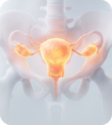 여성·회복 질환